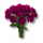Rosas cor de rosa.png