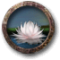 Arquivo:Colher flor de lótus.png