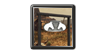 Arquivo:Rancho Saltwater Icon.png