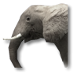 Arquivo:Elephant.png