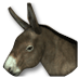 Arquivo:Donkey.png