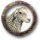 Arquivo:Pastorear ovelhas.png